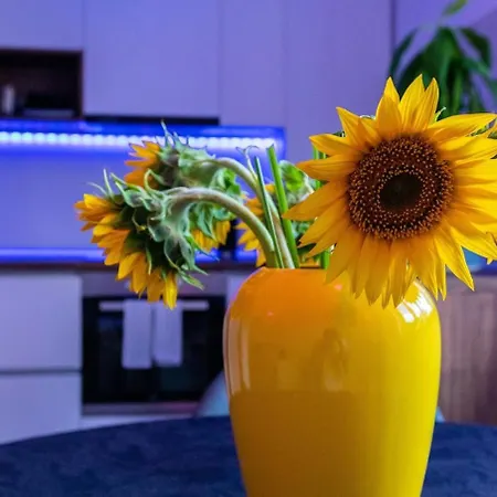 The Hidden Dream- Smarthouse Брашов