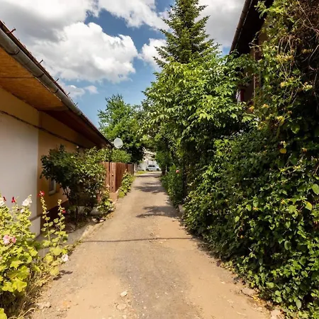 The Hidden Dream- Smarthouse Apartment Brașov