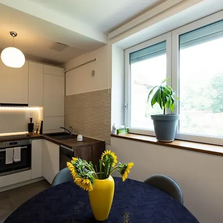 The Hidden Dream- Smarthouse Apartment Brașov