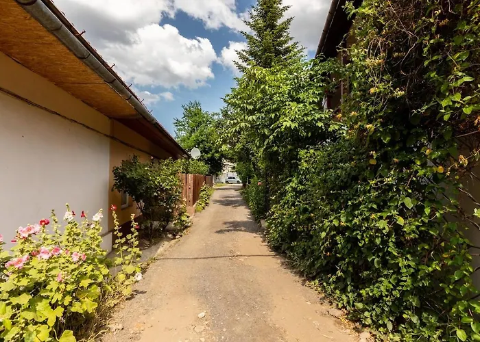 The Hidden Dream- Smarthouse Apartment Brasov